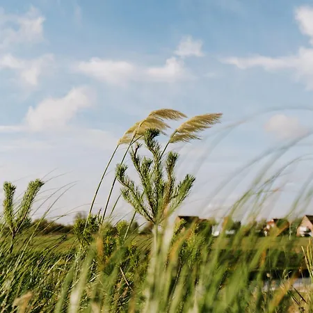 Küsten Grachten 2 Direkte Wasserlage, Terrasse, 76qm, Neubaugebiet Apartamento Greetsiel
